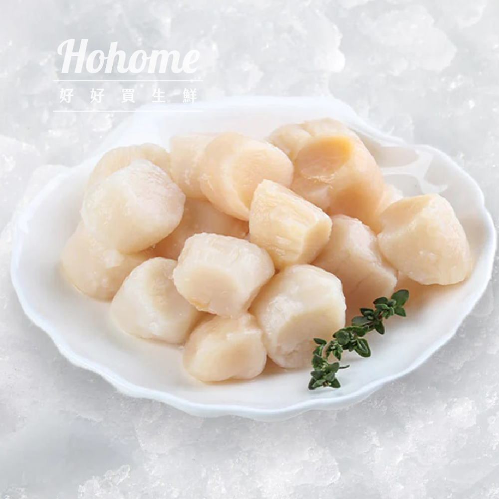 貝類_工作區域 1 複本 55