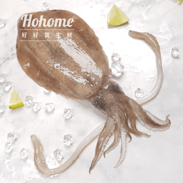 軟體_工作區域 1 複本 53 5A生食規格軟絲(300g)